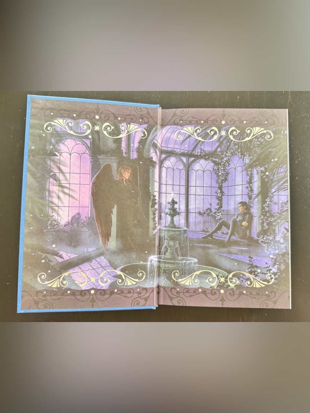 OwlCrate Special Edition of the Crowns of Nyaxia series by Carissa Broadbent - Picture 6 of 16